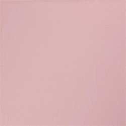 Jersey de coton *Mila* - rose pâle froid