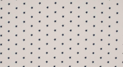 Baumwolle kleine Sterne weiß-dunkelblau