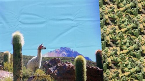 Jersey Panel Lama 0,75x1,45cm