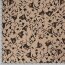 Chiffon Abstract Flowers Beige