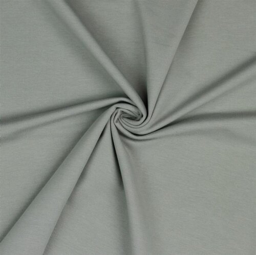 Jersey de coton Bio~Organic *Gerda* - gris silex