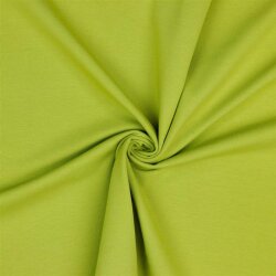 Jersey de coton Bio~Organic *Gerda* - citron vert