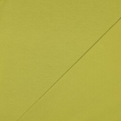 Jersey de coton Bio~Organic *Gerda* - citron vert