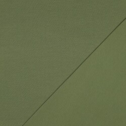 Cotton jersey organic *Gerda* - cucumber green