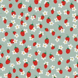 Cotton jersey Organic strawberries - light mint