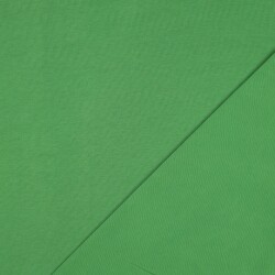 Jersey di cotone *Vera* - verde