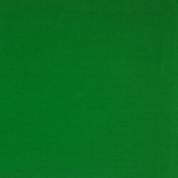 Jersey di cotone *Vera* - verde