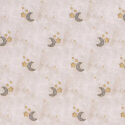 Cotton jersey Digital striped moon with stars beige pink