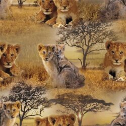 I leoni digitali francesi di Terry nella savana