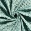 Minky Fleece *Marie* - altmint