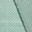 Minky Fleece *Marie* - altmint