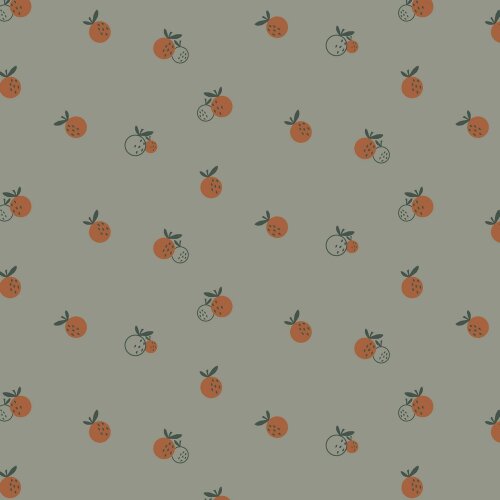 Jersey de coton Orange biologique - menthe foncée