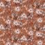 All-season sweat digital strawflowers - terracotta