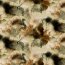 Sudore per tutte le stagioni batik digitale acquerellato - verde muschio