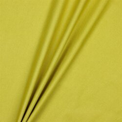Lienzo - curry