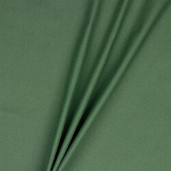 Lienzo - verde pepino