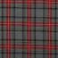 SCOTTISH CHECK - grey