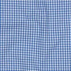 Cotton Poplin 2.7mm Vichy Check - Sky