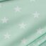 Popeline coton 33mm étoiles - menthe douce