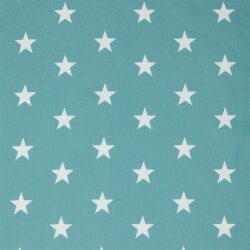 Popeline coton 33mm étoiles - vieux menthe
