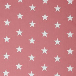 Popeline di cotone 33mm stelle - rosa perla
