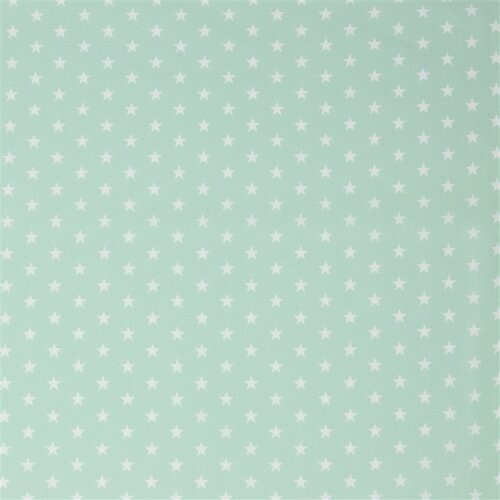 Popeline coton 10mm étoiles - menthe douce