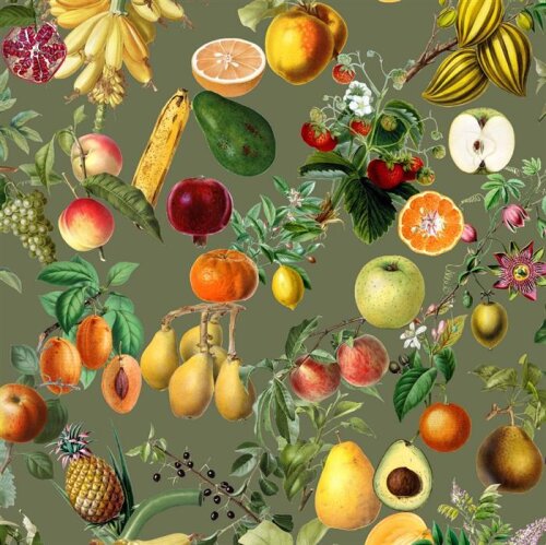 Canvas Digital Früchte - gurkengrün