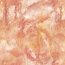 Canvas Digital Marble - salmon/gold