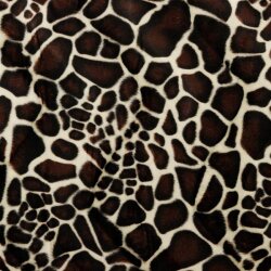 Giraffe - FARBE