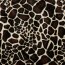 Giraffe - FARBE