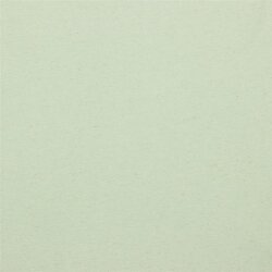Jersey cotton-linen blend - light mint