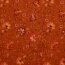 Musselin Digital Paisley - dunkelorange