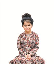 Cotton poplin digital flower meadow -
