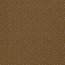 Cotton jersey raindrops brown