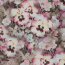 Viskose Digital Blumen - taupe