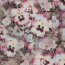 Viscose Digital Flowers - taupe