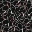ROSELLA flowers - black