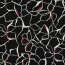 ROSELLA flowers - black