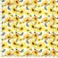 Cotton poplin SUNFLOWER