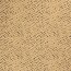 Bengaline Pinselflecken - sand