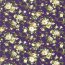 QUATRO Stretch BlumeS