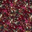QUATRO Stretch BlumeS