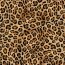 Softshell Digital Taches de léopard - beige