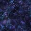 Softshell Digital Lightning - půlnoční modrá