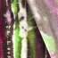 WOOL MIX Resumen