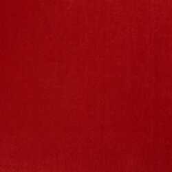 Winter VELVET (AS 1) - FARBE