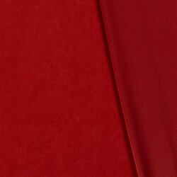 Winter VELVET (AS 1) - FARBE