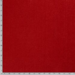 Winter VELVET (AS 1) - FARBE