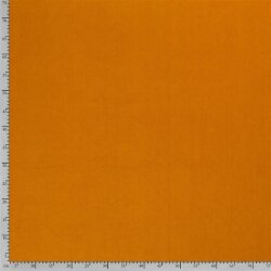 Winter VELVET (AS 1) - FARBE