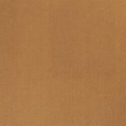 Winter VELVET (AS 1) - FARBE